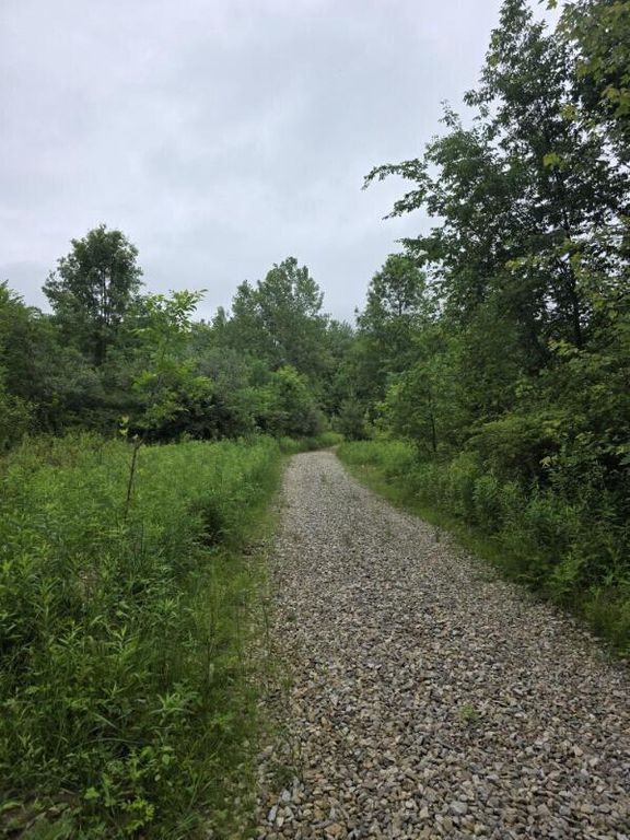 4719 Twp 115 Road, Mount Gilead, OH 43338