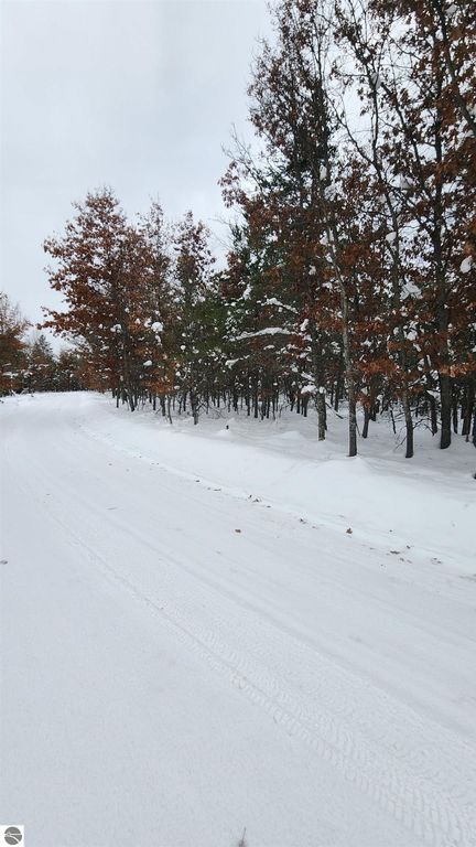 Image 1 of property listing at Fiddlewood, Grayling, MI 49738