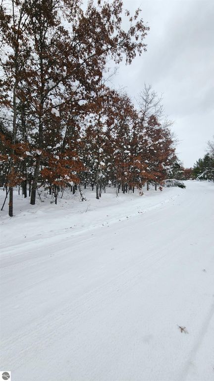 Image 2 of property listing at Fiddlewood, Grayling, MI 49738