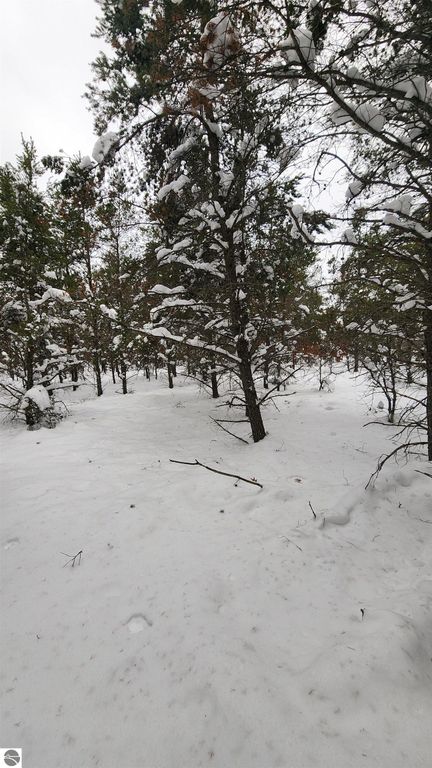 Image 3 of property listing at Fiddlewood, Grayling, MI 49738