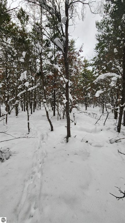 Image 4 of property listing at Fiddlewood, Grayling, MI 49738