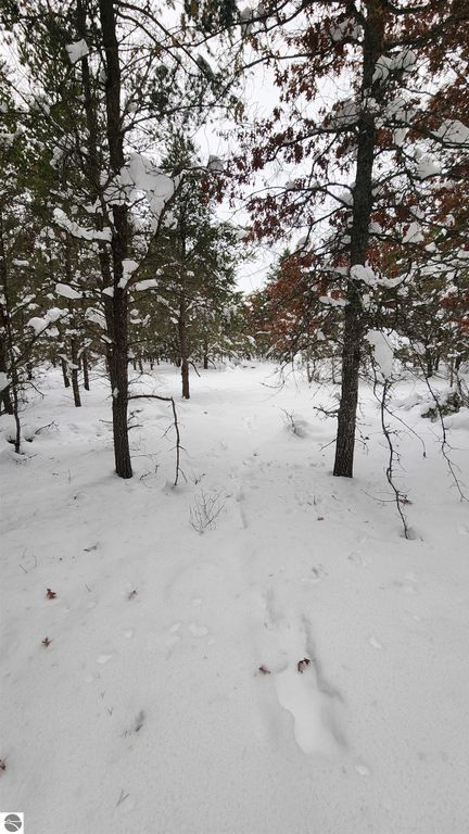 Image 5 of property listing at Fiddlewood, Grayling, MI 49738