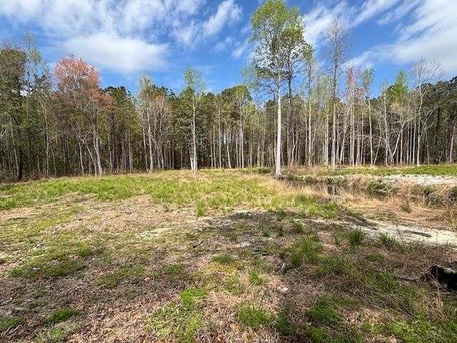 Lot 1 Coats Rd., Loris, SC 29569