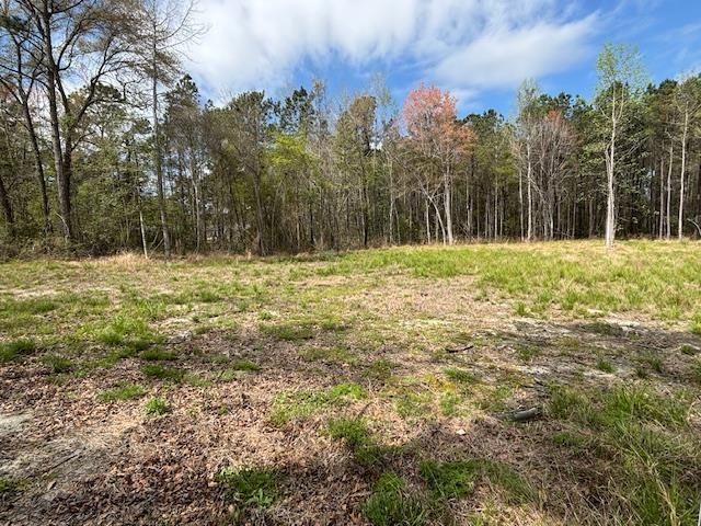 Lot 1 Coats Rd., Loris, SC 29569