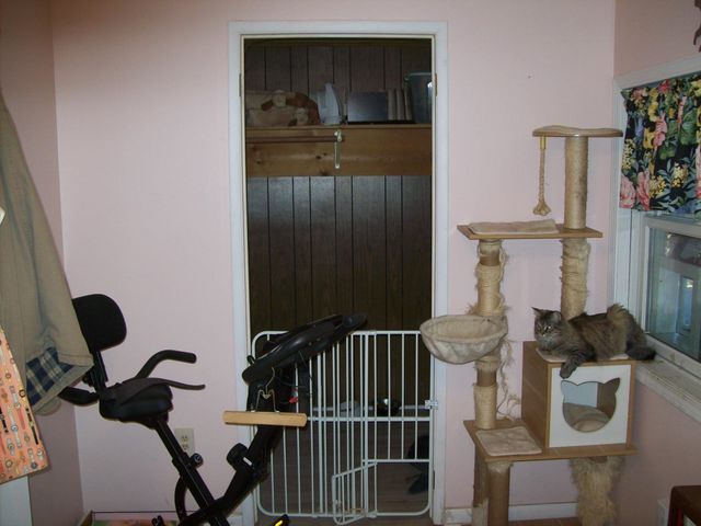 9136 Richfield Court, Saint Helen, MI 48656