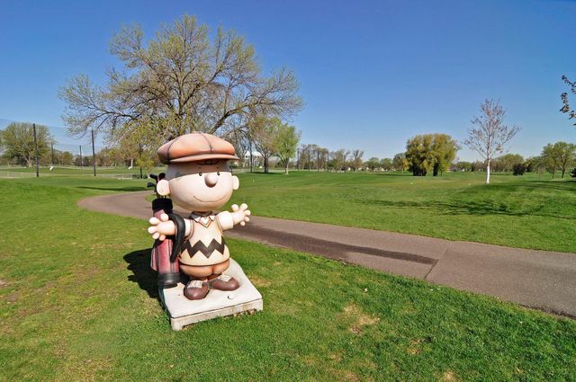 1275 Niles Avenue, Saint Paul, MN 55116