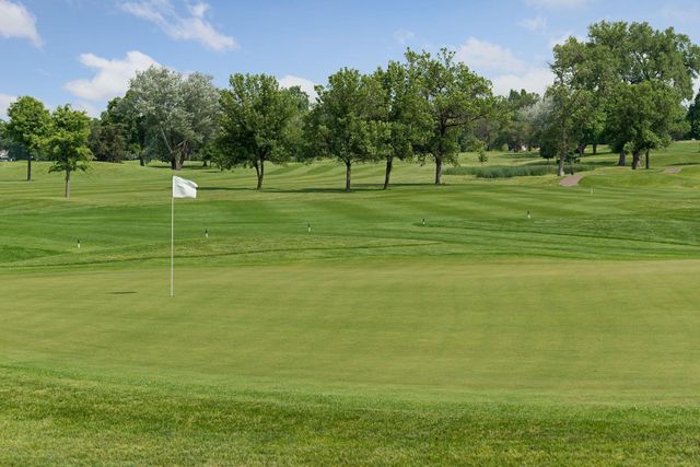 1275 Niles Avenue, Saint Paul, MN 55116