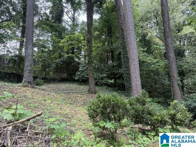 4337 50TH AVENUE N, Birmingham, AL 35217