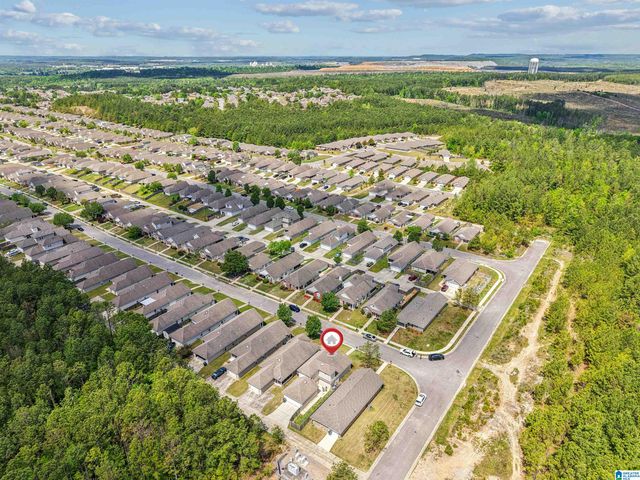 1290 VILLAGE TRAIL, Calera, AL 35040