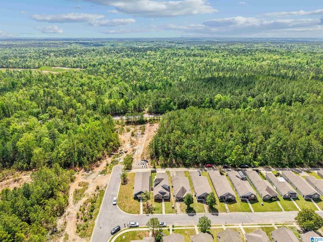 1290 VILLAGE TRAIL, Calera, AL 35040