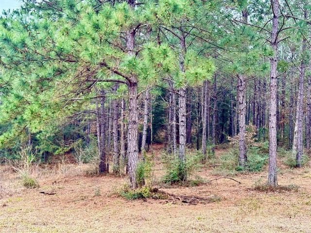 915 County Road 3266, Colmesneil, TX 75938