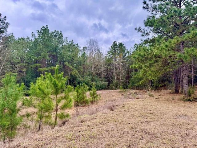 915 County Road 3266, Colmesneil, TX 75938