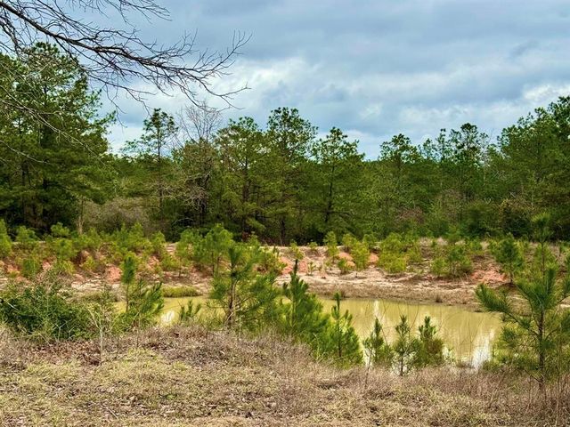 915 County Road 3266, Colmesneil, TX 75938