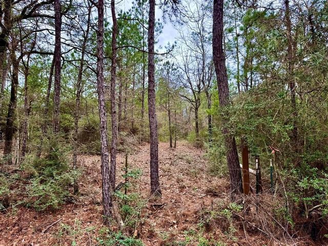 915 County Road 3266, Colmesneil, TX 75938