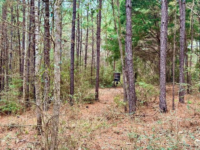 915 County Road 3266, Colmesneil, TX 75938