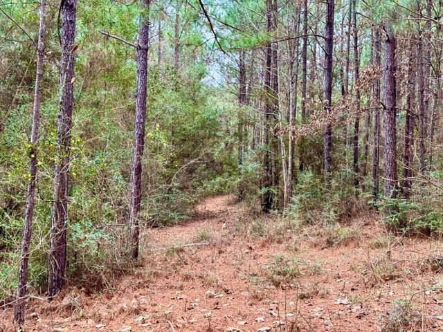 915 County Road 3266, Colmesneil, TX 75938