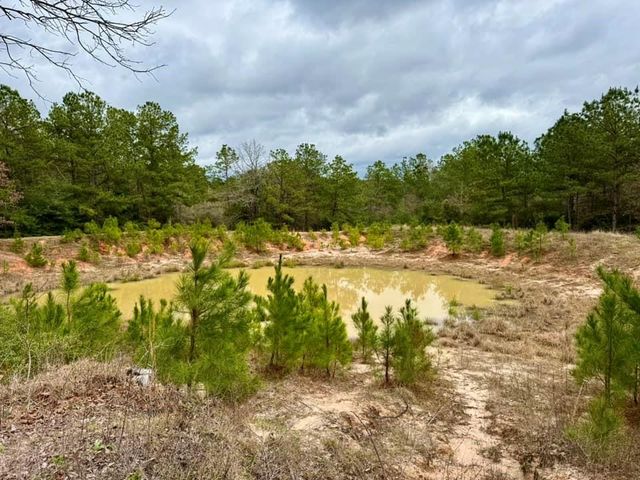 915 County Road 3266, Colmesneil, TX 75938