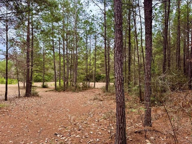 915 County Road 3266, Colmesneil, TX 75938