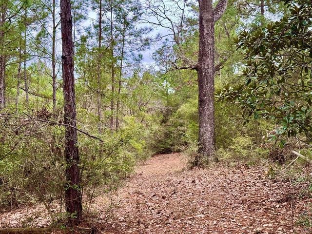 915 County Road 3266, Colmesneil, TX 75938