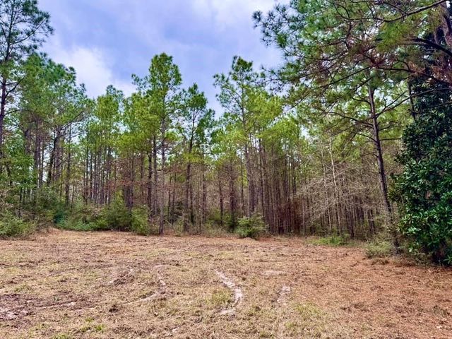 915 County Road 3266, Colmesneil, TX 75938