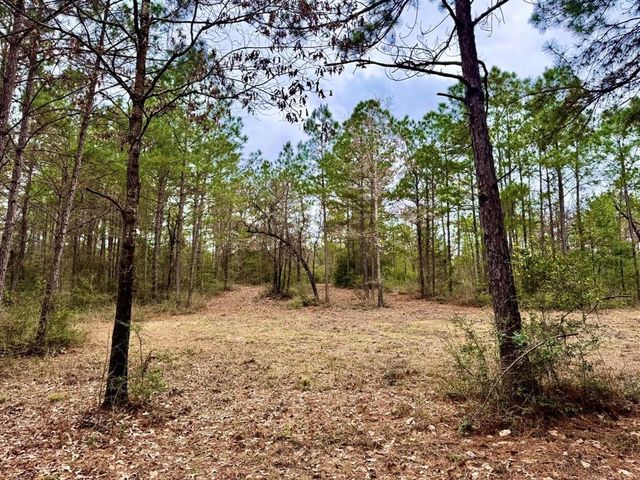 915 County Road 3266, Colmesneil, TX 75938