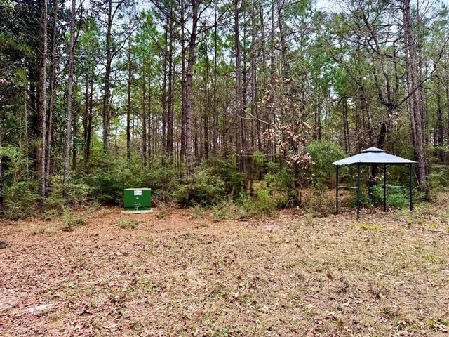 915 County Road 3266, Colmesneil, TX 75938