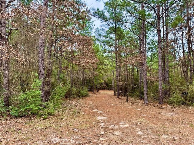 915 County Road 3266, Colmesneil, TX 75938
