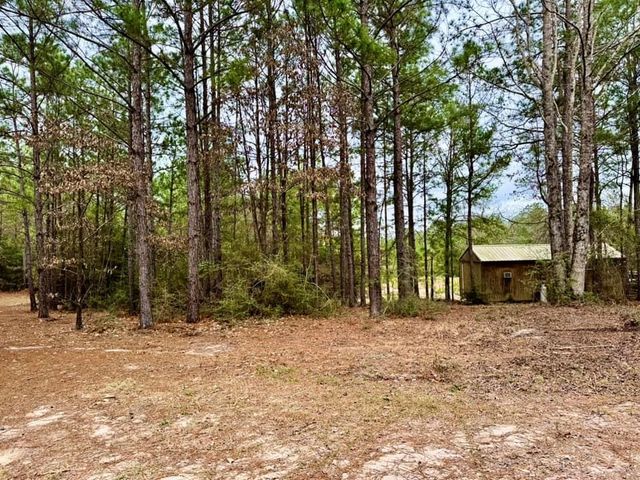 915 County Road 3266, Colmesneil, TX 75938