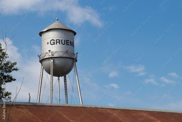 1335 Gruene Glen ST, New Braunfels, TX 78132
