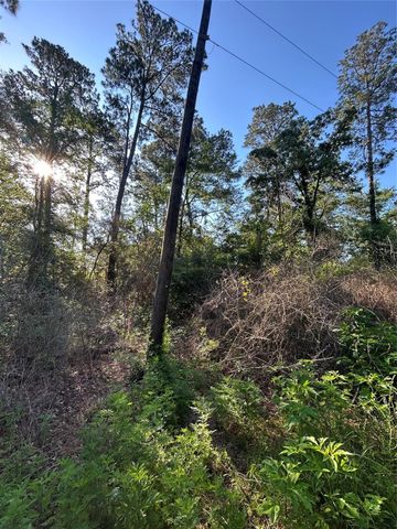 TBD White Oak Drive, Plantersville, TX 77363