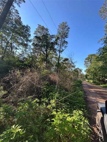 TBD White Oak Drive, Plantersville, TX 77363