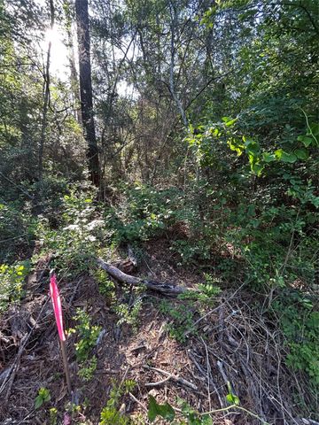 TBD White Oak Drive, Plantersville, TX 77363