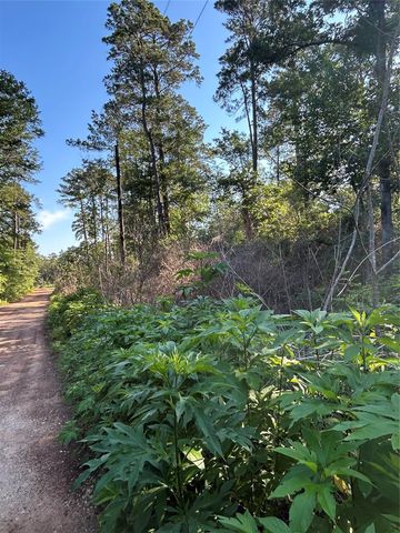 TBD White Oak Drive, Plantersville, TX 77363