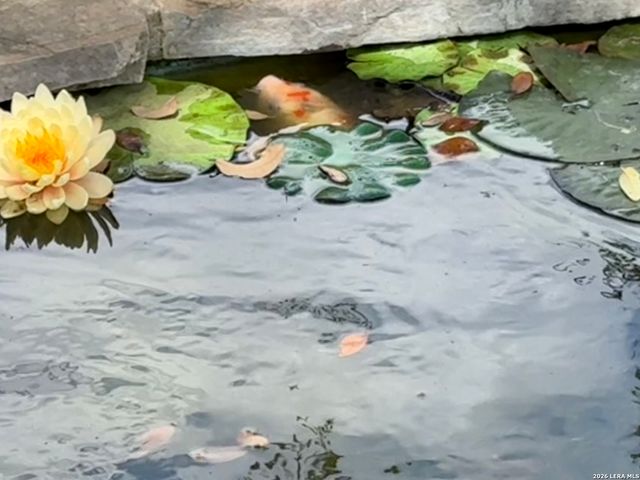 13034 Wild Heart, Helotes, TX 78023