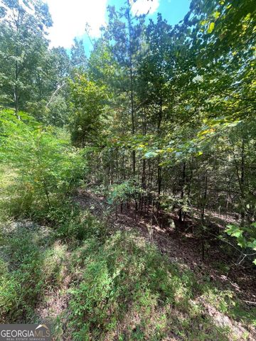 0 Chimney Mountain Road, Sautee Nacoochee, GA 30571