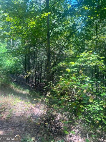 0 Chimney Mountain Road, Sautee Nacoochee, GA 30571