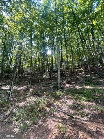 0 Chimney Mountain Road, Sautee Nacoochee, GA 30571