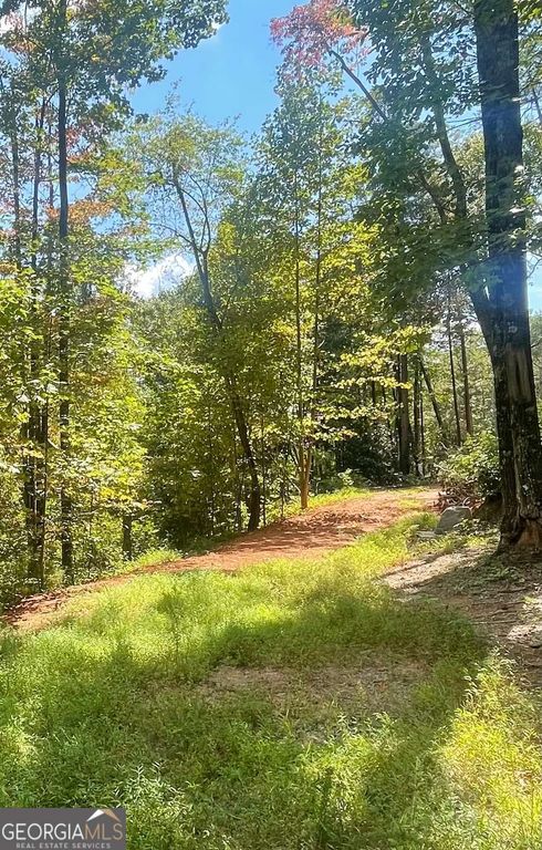 0 Chimney Mountain Road, Sautee Nacoochee, GA 30571
