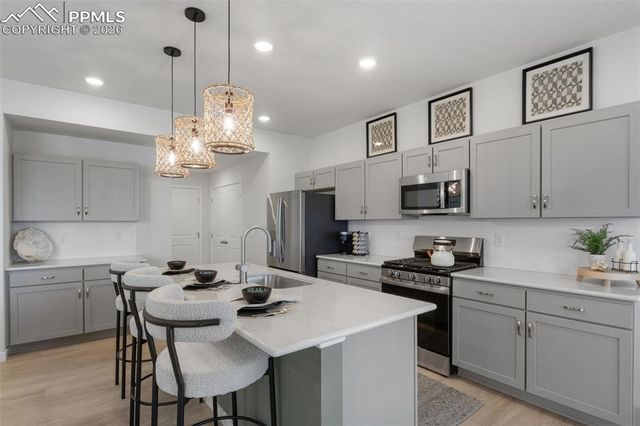 8554 Blue Feather Loop, Colorado Springs, CO 80908