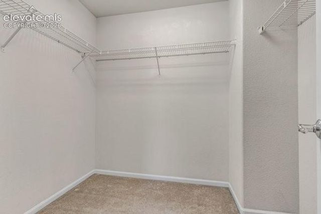 6933 Sandcastle Point, Colorado Springs, CO 80923