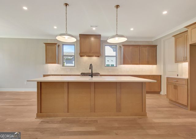 350 Werner Way, Senoia, GA 30276