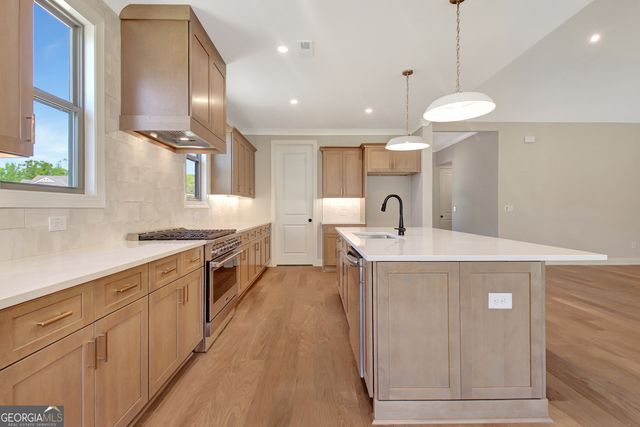 350 Werner Way, Senoia, GA 30276