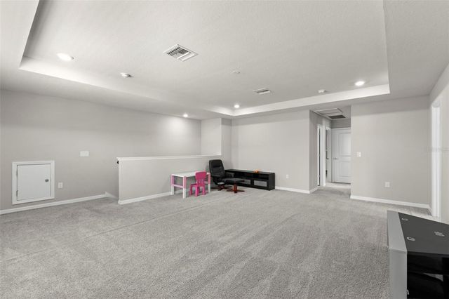 18935 BIRCHWOOD GROVES DRIVE, Lutz, FL 33558