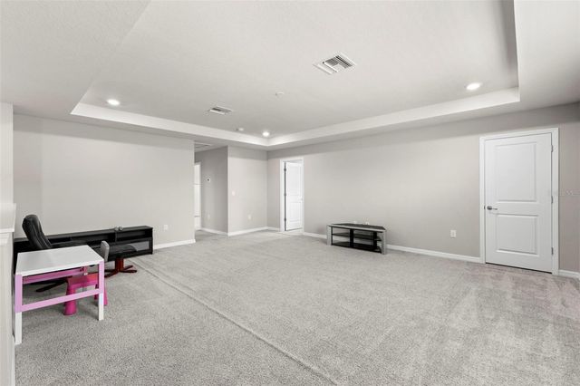 18935 BIRCHWOOD GROVES DRIVE, Lutz, FL 33558
