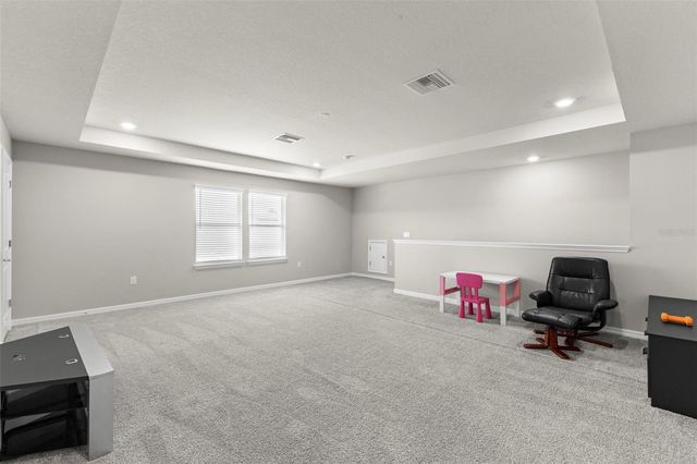 18935 BIRCHWOOD GROVES DRIVE, Lutz, FL 33558