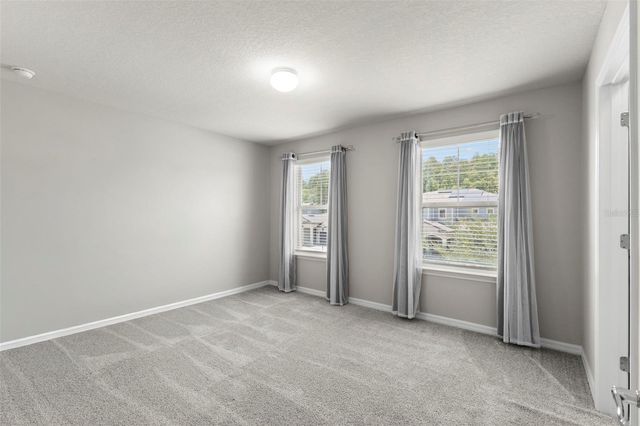 18935 BIRCHWOOD GROVES DRIVE, Lutz, FL 33558