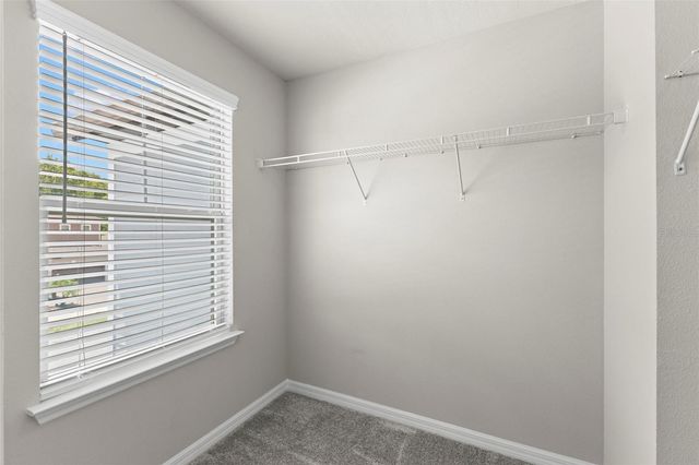18935 BIRCHWOOD GROVES DRIVE, Lutz, FL 33558