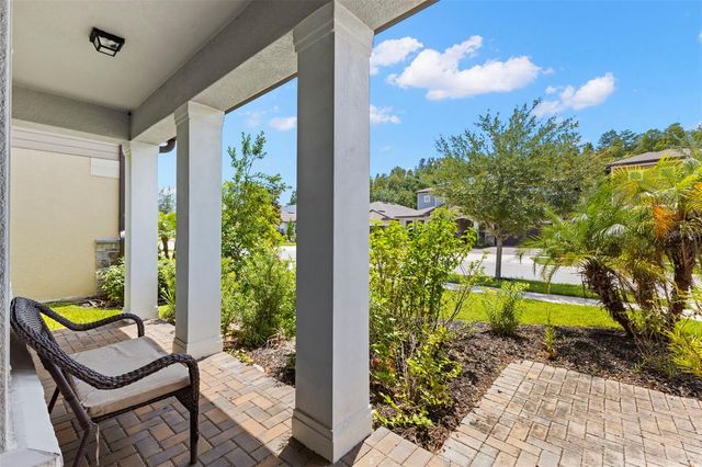 18935 BIRCHWOOD GROVES DRIVE, Lutz, FL 33558