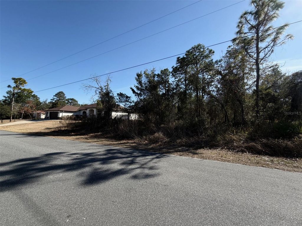 0 GODWIT AVENUE, Weeki Wachee, FL 34613