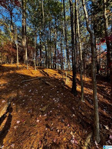 3724 CHESTNUT RIDGE LANE, Vestavia Hills, AL 35216